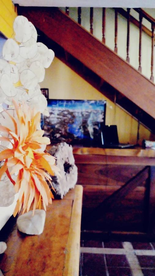 Bed and breakfast Copahue *